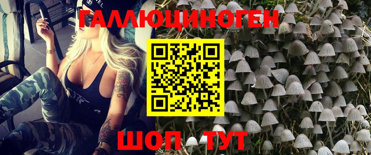 Псилоцибиновые грибы прущие грибы Елец