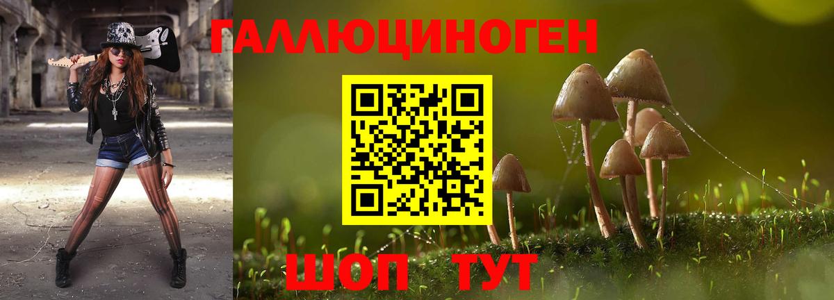 Елец  Галлюциногенные грибы мухоморы  Галлюциногенные грибы прущие грибы  Вход с VPN 